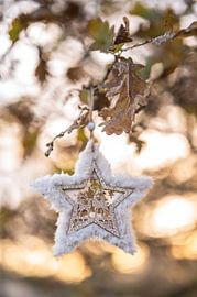 Winter scene part 3 by Tania Perneel