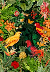 Parrots Midnight Paradise