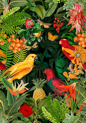 Parrots Midnight Paradise by Andrea Haase