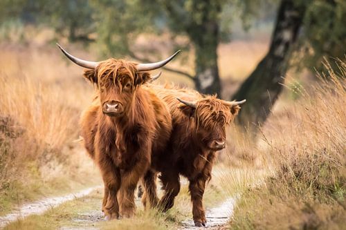 Step out of the line please