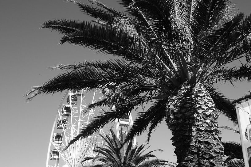 waterfront Cape town by Olaf Franke
