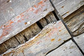 Old weathered rustic stable or barn door by Wil Wijnen