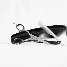 Barber Scissors and Comb sur E.M Hak