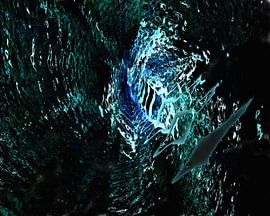 Zusammensetzung Nr. 2236