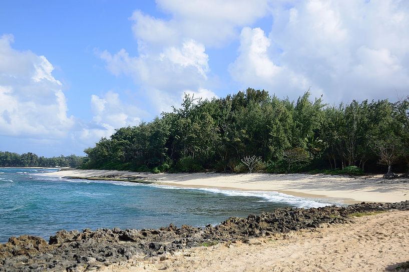 Turtle Bay by Frank's Awesome Travels