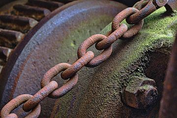 Voor altijd verbonden op zoek naar het licht