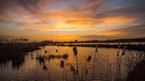 Zonsondergang natuurgebied Leeuwarden