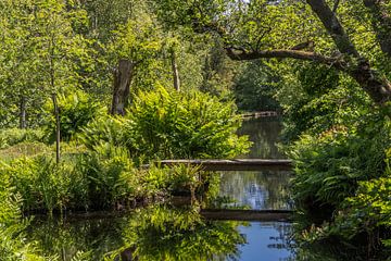 Groen paradijs van Peter Leenen