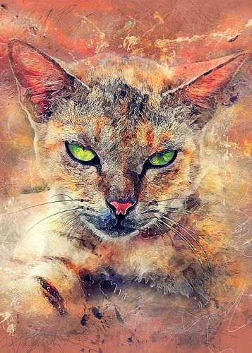 Kat dieren aquarel kunst #kat #kitten