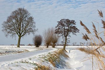 Landschap in polder "Haagse Beemden" , Breda van Esther Hereijgers