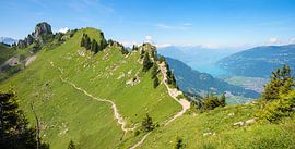 Gratweg vom Oberberghorn zur Daube, Schweizer Alpen von SusaZoom