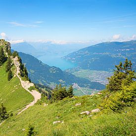 Mountain Ridge Way Schynige Platte switzerland by SusaZoom