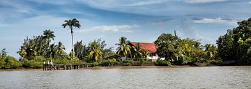 Plantation Katwijk Suriname sur Michel Groen
