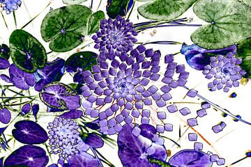 Nénuphar et plantes de bassin dans le style art déco sur Birgitte Bergman