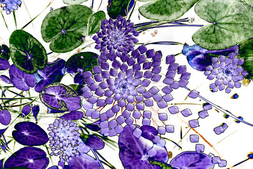 Waterlelie en vijverplanten in art deco style van Birgitte Bergman