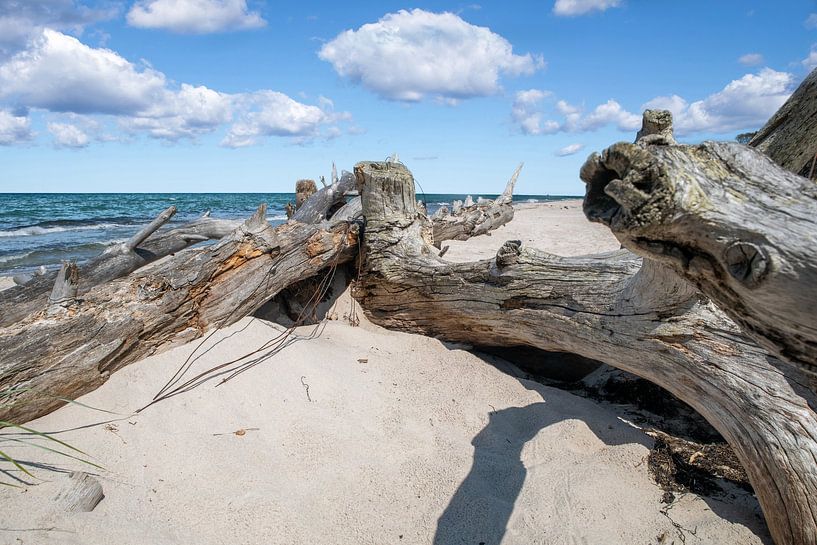 Oostzee: Darß West Strand van t.ART