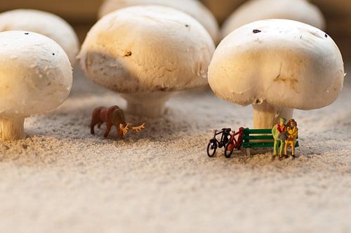 Resting by Lex Schulte