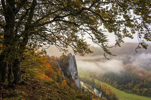 Uitzicht vanaf het uitzichtspunt Burgstall boven Fridingen in de Donauvallei met de laatste restjes mist - Natuurpark Opper-Donau
