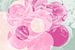 Amour des fleurs-roses: rose, menthe et saumon sur ART Eva Maria