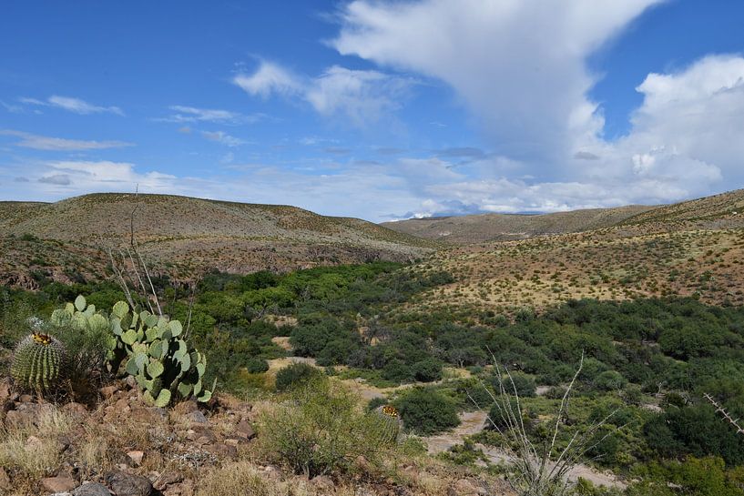 Hiking in Spring Canyon by Bernard van Zwol