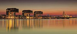 Cologne skyline at sunset by Frank Herrmann
