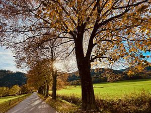 Herbstlandschaft
