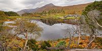 Loch Affric, Glen Affric, Schottland von Arjan Oosterom Miniaturansicht
