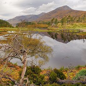 Loch Affric, Glen Affric, Schottland von Arjan Oosterom