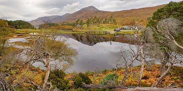 Loch Affric, Glen Affric, Schotland van Arjan Oosterom
