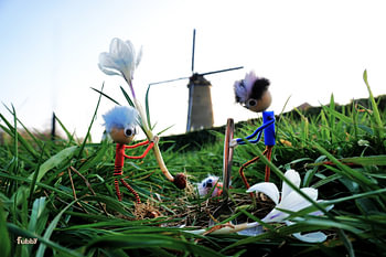 Fubby plante un bulbe de crocus dans un moulin.