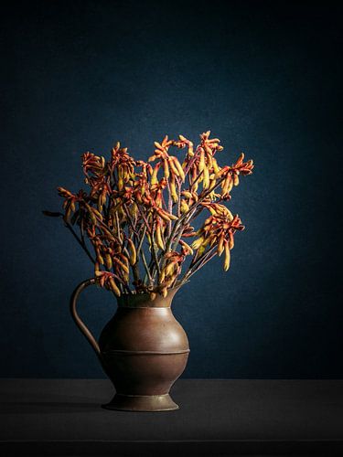 Kangoeroepoot stilleven