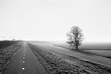 Polder in de Mist von Edwin van Laar
