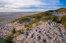 Dune de sable magique dans le Jutland au Danemark