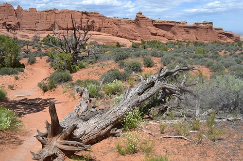 Arches National Park,Utah, Amerika