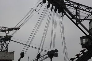 Ferropolis, City of Iron