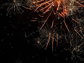 Pilze im Wald von Marjanne van der Linden