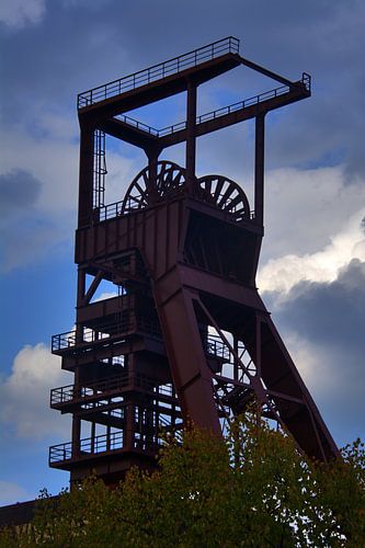 Noordelijke stertoren