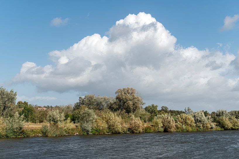 Schelde landschap van Richard Wareham
