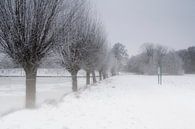 Nederlands winter landschap van Eus Driessen thumbnail