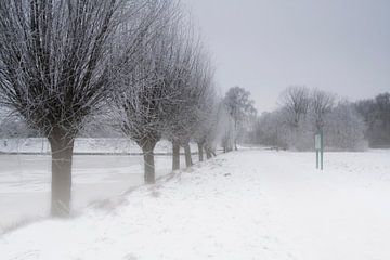 Nederlands winter landschap van Eus Driessen