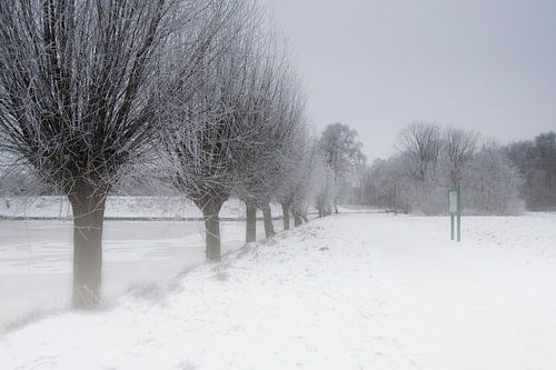 Dutch winter landscape