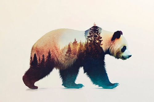 Panda in het bos