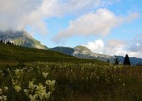 Groene bergen en blauwe meren in Switzerland