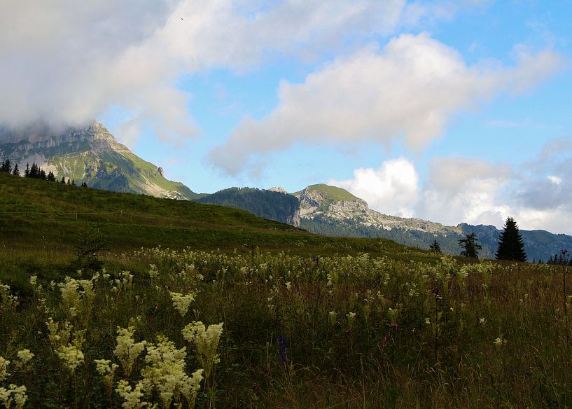 Grüne Berge und blaue Seen in der Schweiz von Yara Terpsma