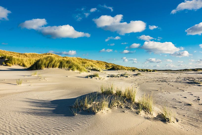 Landschaft mit Dünen auf der Insel Amrum von Rico Ködder
