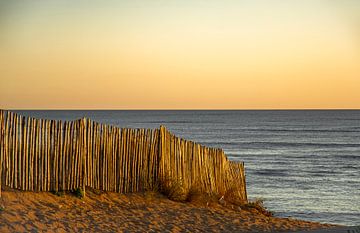 Strandfront mit Meerblick von Frans Scherpenisse