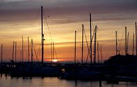 Sunrise marina