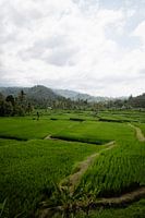 Stretched Balinese landscape