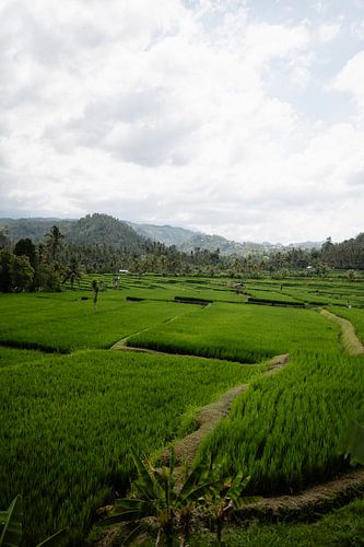 Stretched Balinese landscape