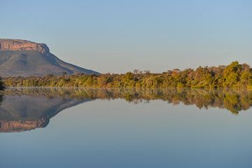 Südafrika Marataba von Robert Styppa